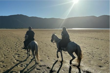 Horseback Riding Adventure in Florianópolis: Beaches, Forests & Lakeside Magic